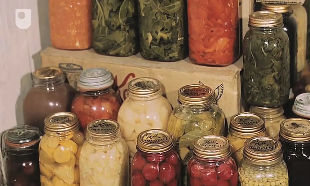 Extending Shelf Life Safely: Understanding Radiation-Based Food Preservation Methods